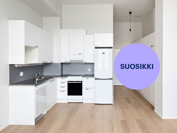 Vuokra-asunto Tampere Tammela Yksiö
