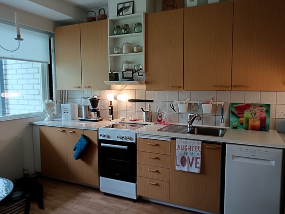Rental Loimaa Hirvikoski 3 rooms