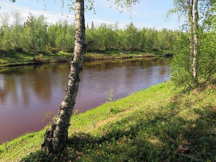 Vuokramökki Savukoski, Tammakkolehto, wilderness cabin 