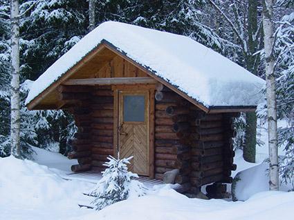 Vuokramökki Juupajoki, Ruokolammin kämppä 