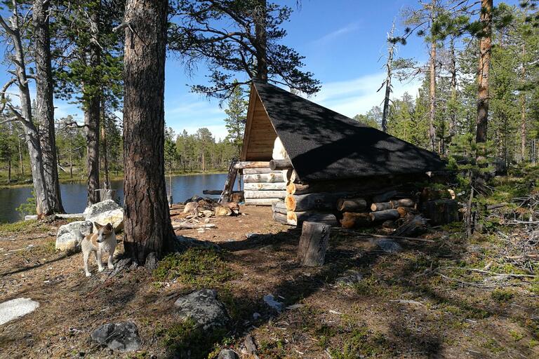 Cottage for rent Inari, Vuona, eräkämppä 