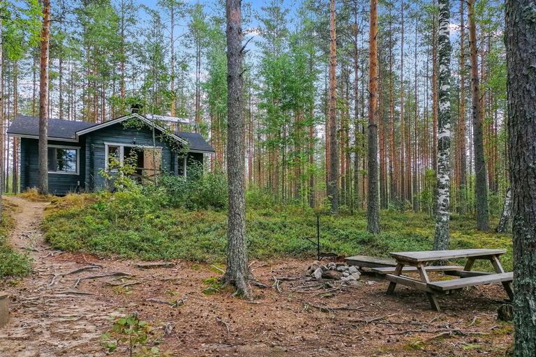 Vuokramökki Lieksa, Neitijärvi/juolukka wilderness cabin 