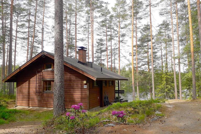 Cottage for rent Padasjoki, Aili 