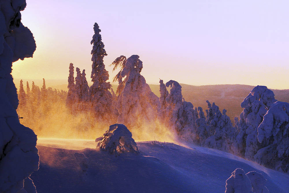 Vaellus Kolilla | Gofinland