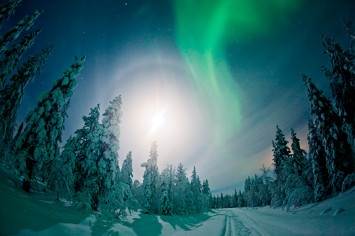 Northern lights Ylläs Lapland